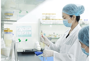 研發(fā)團(tuán)隊(duì)  