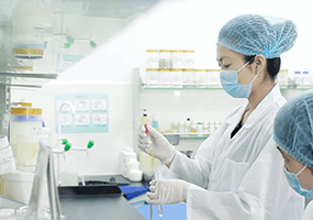 研發(fā)團(tuán)隊(duì) 